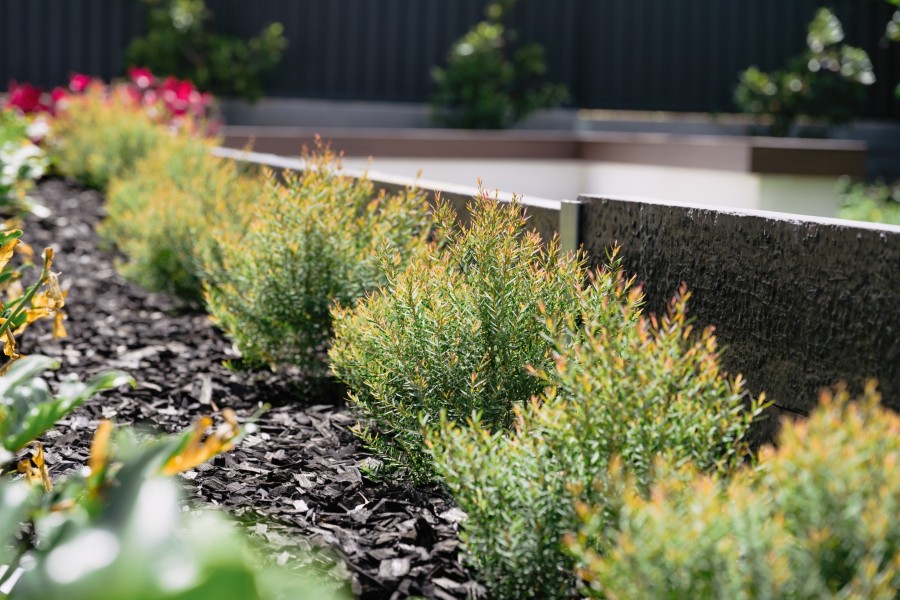 Baulkum Hill Project Image 16